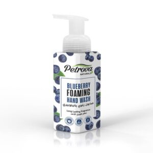 Blueberry Foaming Hand Wash (WH1)